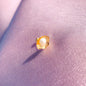 Shell with pearl